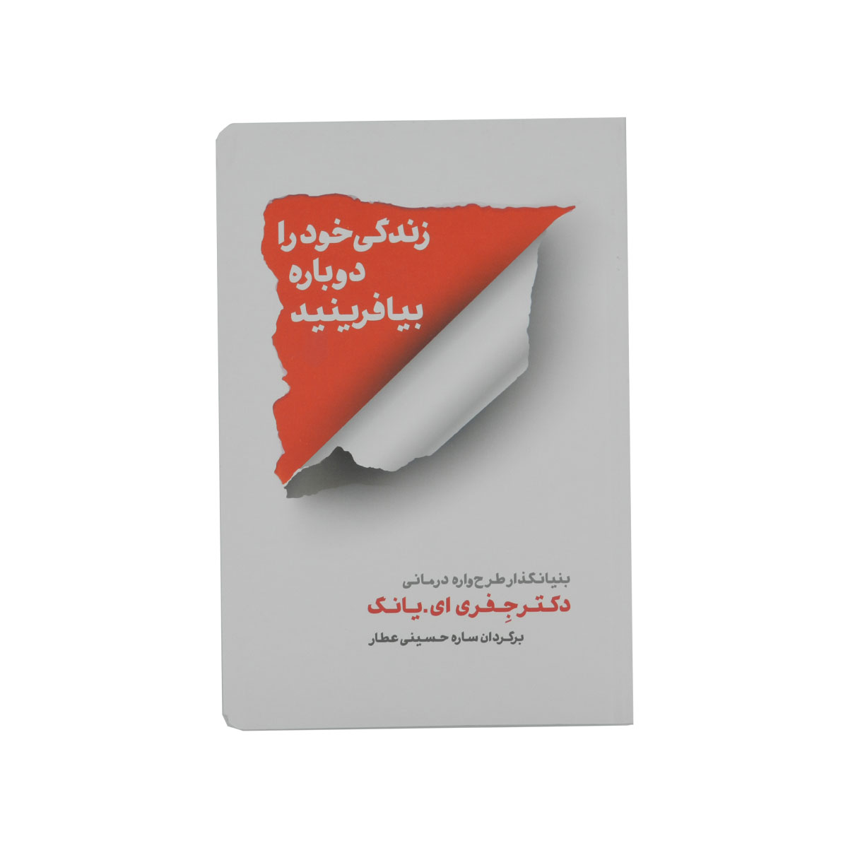 کتاب زندگی خود را دوباره بیافرینید