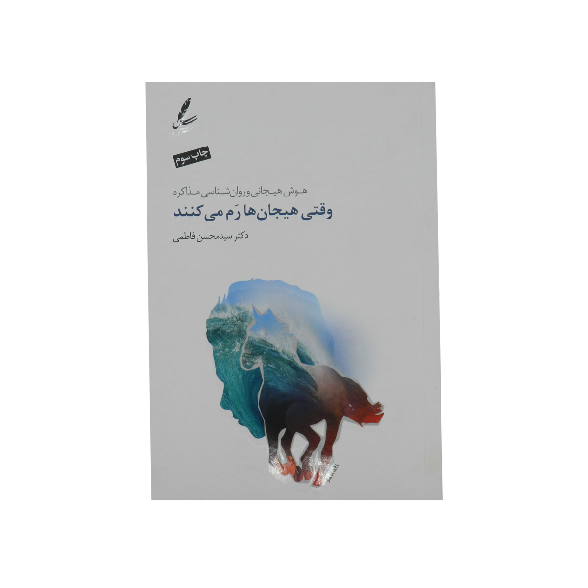 کتاب وقتی هیجان ها رم می کنند