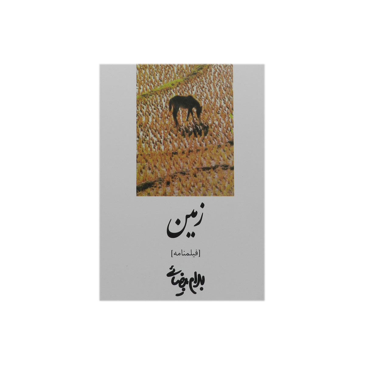 کتاب زمین