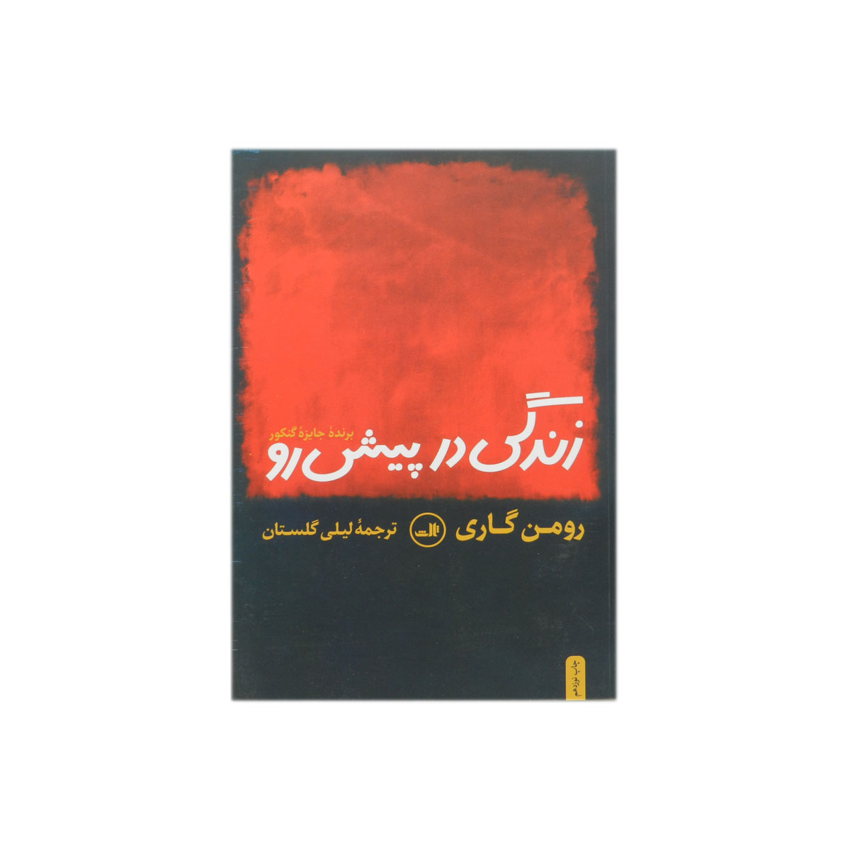 کتاب زندگی در پیش رو