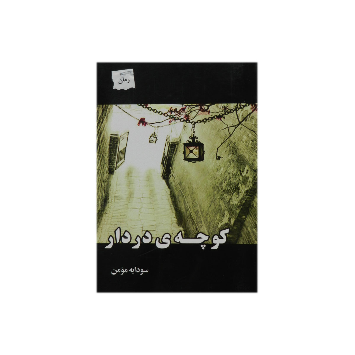 کتاب کوچه ی در دار