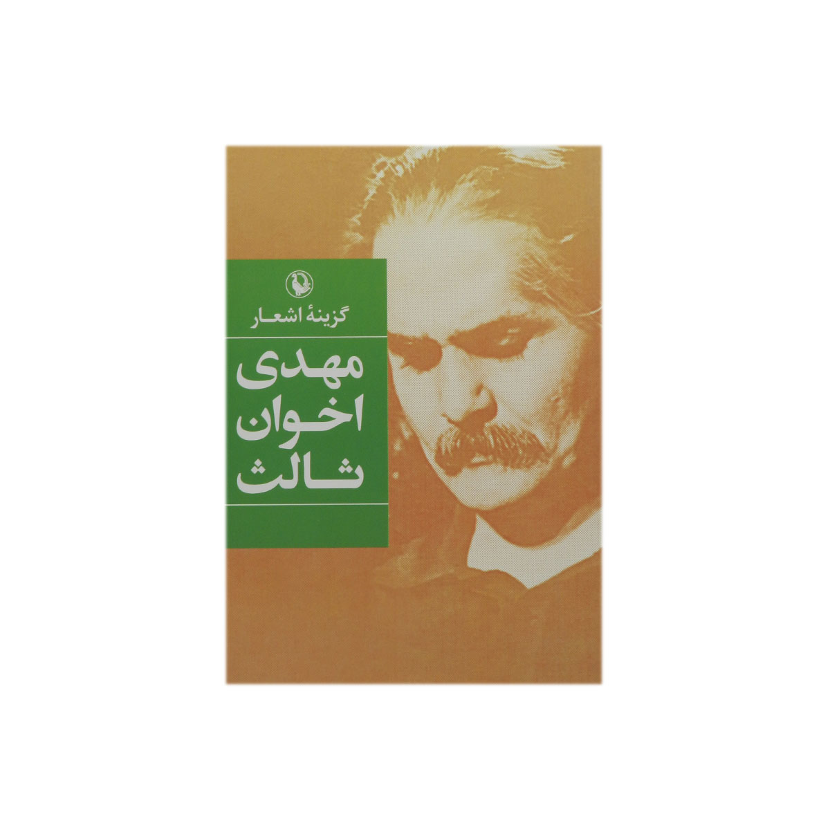 کتاب گزینه اشعار مهدی اخوان ثالث