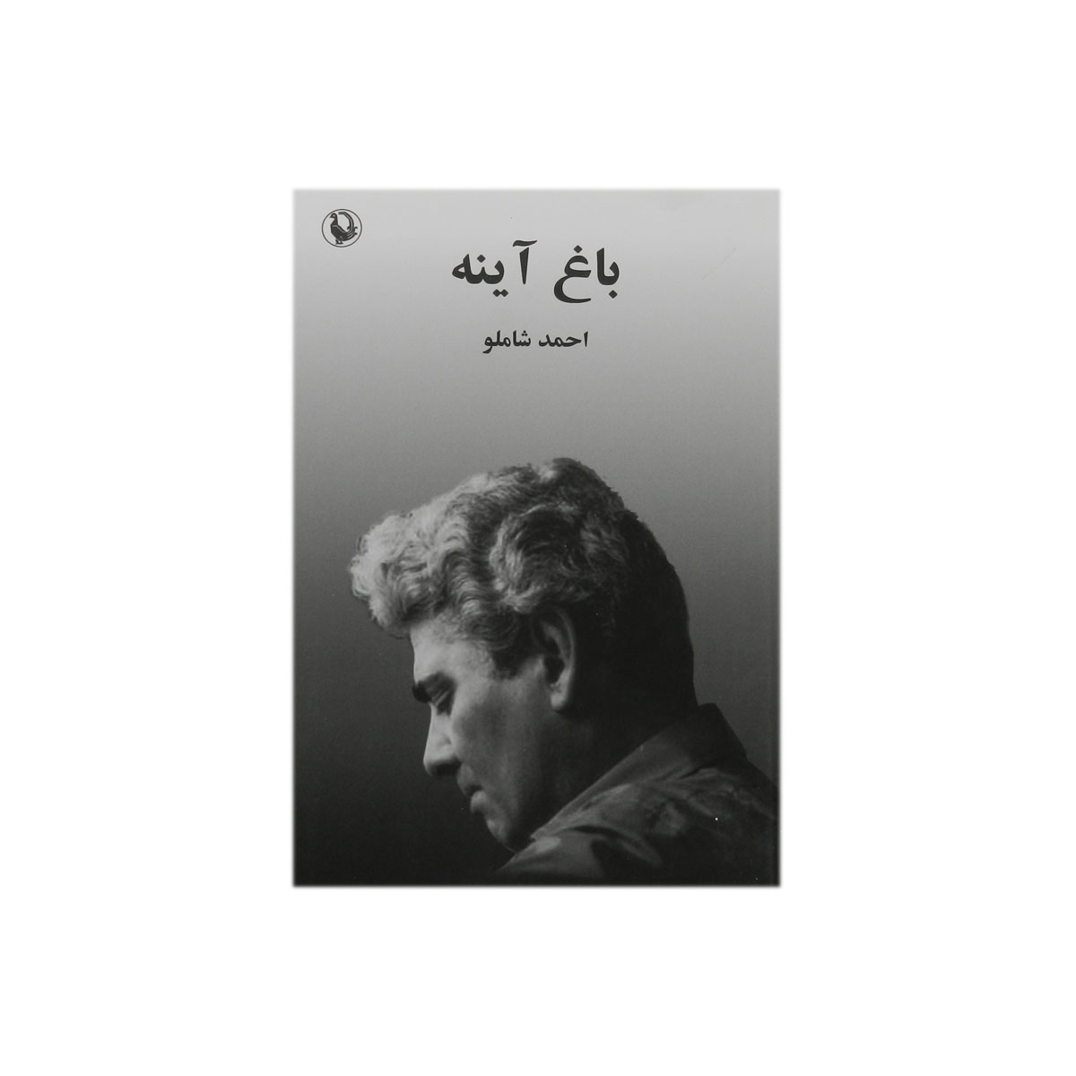 کتاب باغ آینه