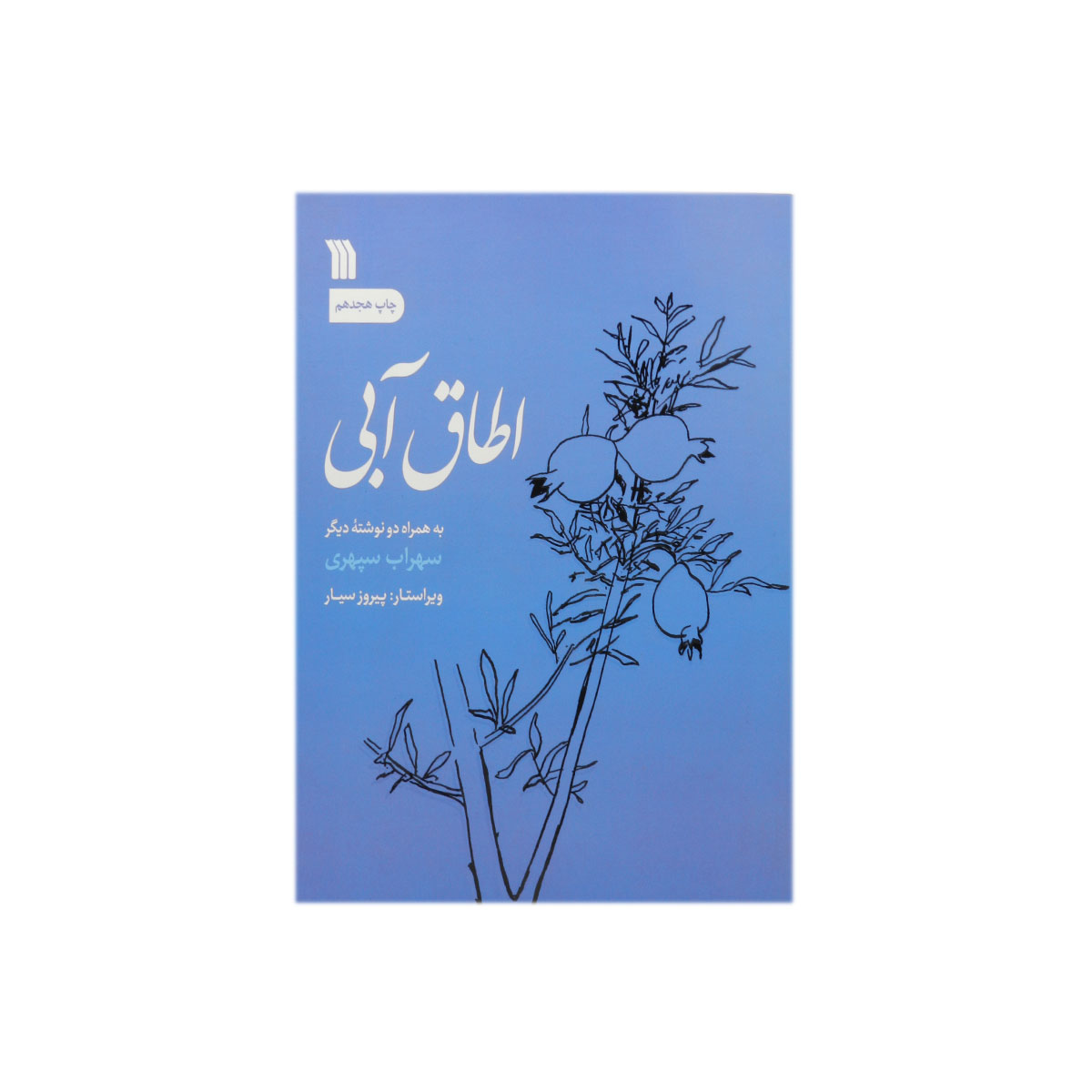 کتاب اطاق آبی
