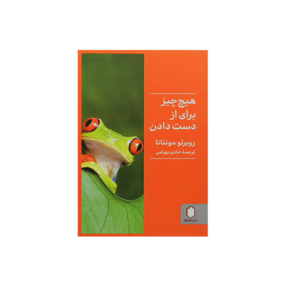 کتاب هیچ چیز برای از دست دادن نیست